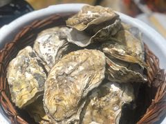 高压锅生蚝-鲁小三·大骨自助(金山总店)