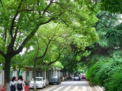 -湖北中医药大学(昙华林校区)