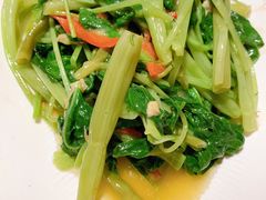 -川味堂·四川豆花(八卦岭店)