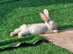 -三亚红色娘子军演艺公园景区