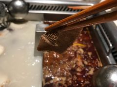 -海底捞火锅(龙岗星河COCO Park店)