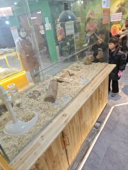 -神奇动物撸宠馆·羊驼·小浣熊·异宠(豫园店)