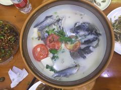 -全乐鱼馆·淳牌有机鱼直营店