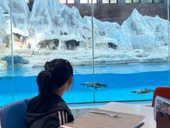 -帝企鹅自助餐厅•儿童岛•真企鹅(长隆企鹅酒店)