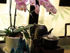 -宫燕府·京菜·烤鸭·淮扬菜(王府中心店)