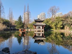 -水绘园