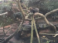 -青青世界