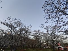-自然谷恐龙园
