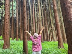 -武陵山森林公园
