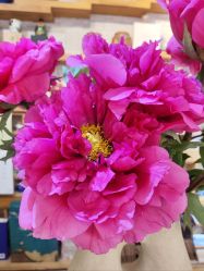 -今日陶艺(富力广场店)