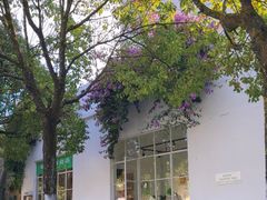 -收获咖啡HARVEST RESERVE(苍山店)