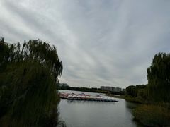 -大兴滨河森林公园