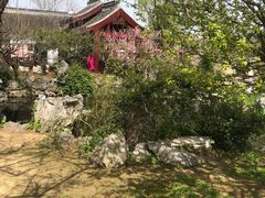 -香雪海