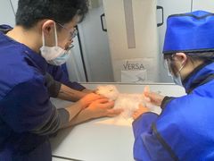 -爱侣宠医·鹦鹉专科·小型哺乳类·异宠专科(灵石路店)