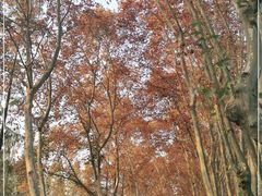 -T80科技文化国际社区-停车场