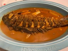 红烧黄河鲤鱼-阿五黄河大鲤鱼(纬三路店)