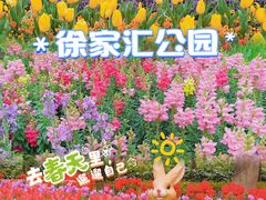 -徐家汇公园