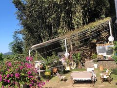 -一朵花事咖啡厅(山原色民宿店)