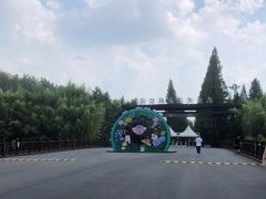 -黄海国家森林公园