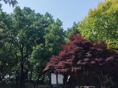 -燕窝岭