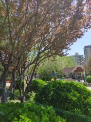 点击看大图 -酷酷兔少儿拓展天地