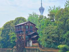 -成都市活水公园