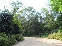 -西湖风景区-江洋畈生态公园