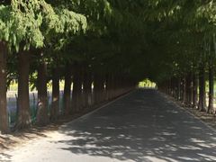 -嘉北郊野公园