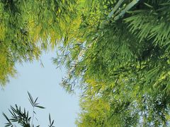 -江南韵·无锡太湖文化体验餐厅(凤凰天街店)