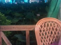 android_upload_pic-荷香居(洞企石路店)