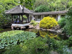 -上海醉白池公园