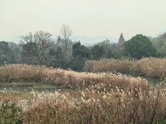 -西溪国家湿地公园