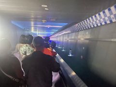 -白鹤梁水下博物馆