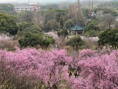 -无锡梅园公园