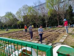 -季高兔窝窝亲子园(上海薰衣草公园店)