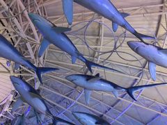 -烟台海昌鲸鲨海洋公园