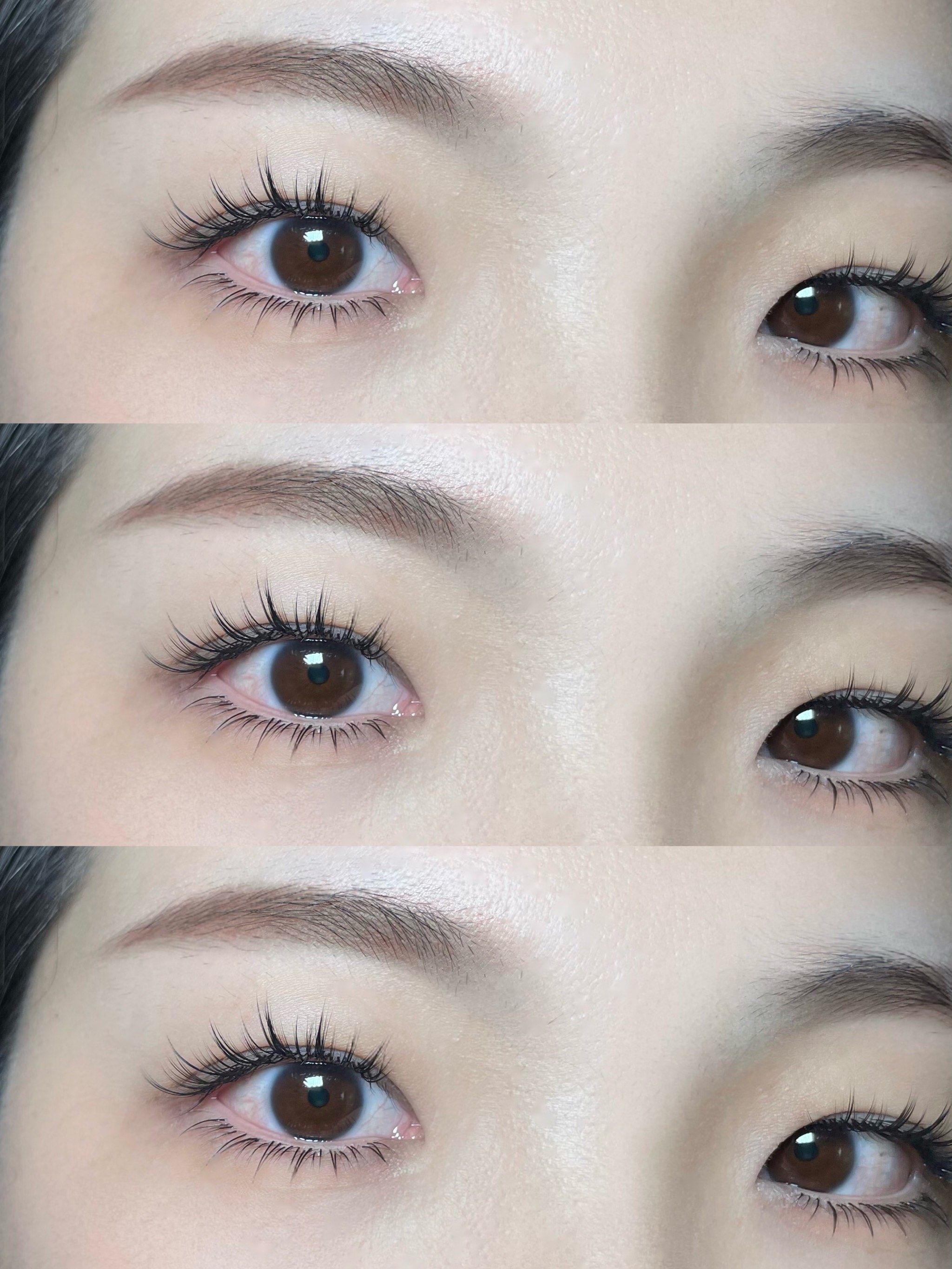 自然太阳花美睫