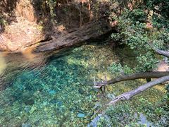 景点-鼎湖山风景区