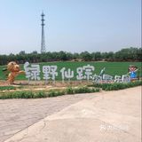 绿野仙踪，六一带孩子去探索田园乐趣吧！