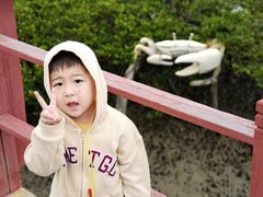 -北海金海湾红树林生态旅游区