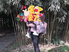 -堤角公园