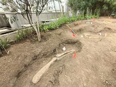 -沈阳植物园
