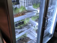 -33韩式自助烧烤(环城南路店)