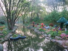 -上海共青森林公园