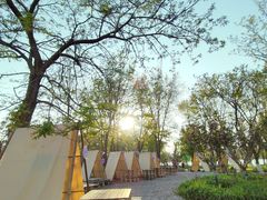 -长白岛森林公园