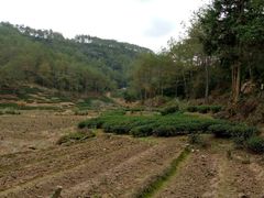 -武夷山风景名胜区-虎啸岩