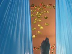 -汤泉良子(金源店)