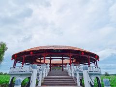 -洪湖生态旅游区