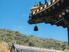 -普陀山风景名胜区-法雨禅寺
