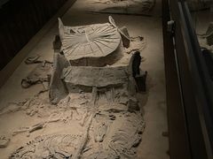 -北京大葆台遗址博物馆